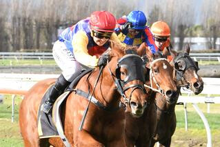 Atenartin (NZ) (Showcasing) takes out the Listed Ryder Stakes (1200m). Photo: Race Images